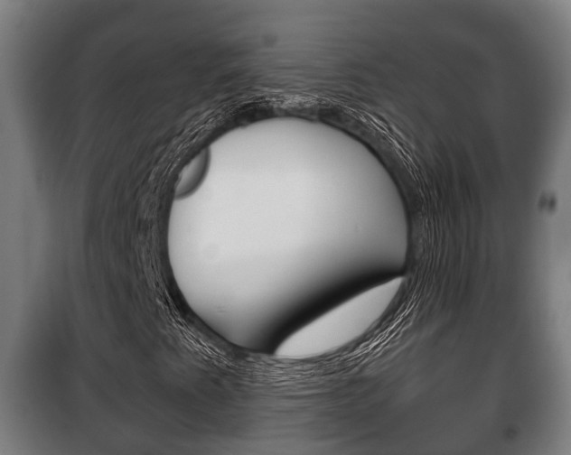 X0000100411345200806060916