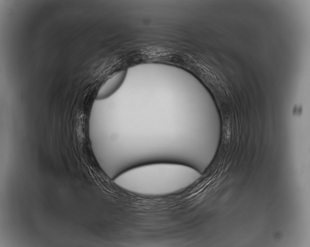 X0000100411346200806060916