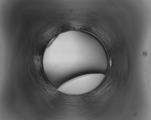 X0000100411347200806060916
