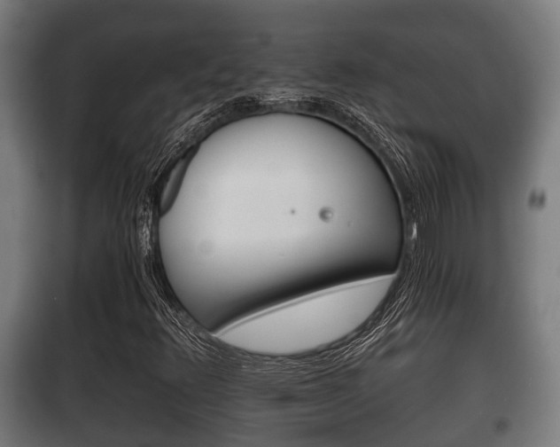 X0000100411348200806060916