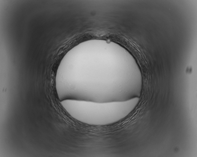 X0000100411349200806060916