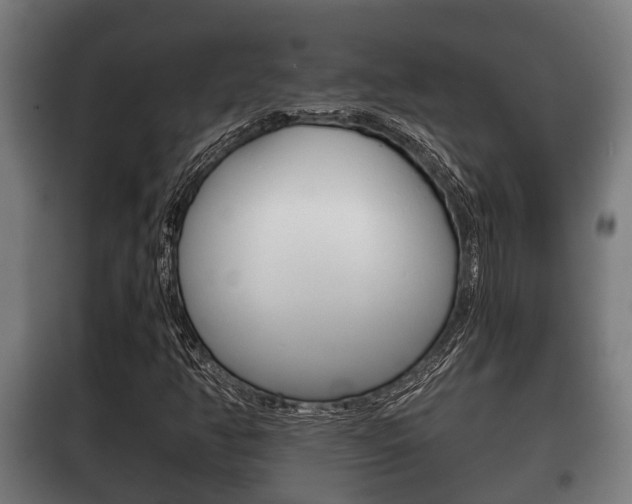 X0000100411350200806060916