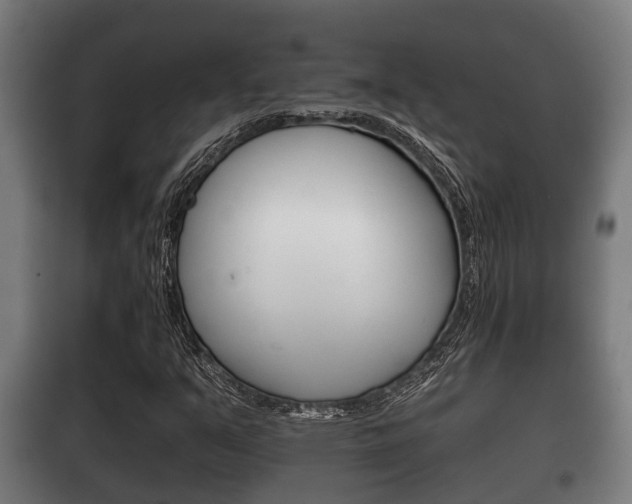 X0000100411351200806060916
