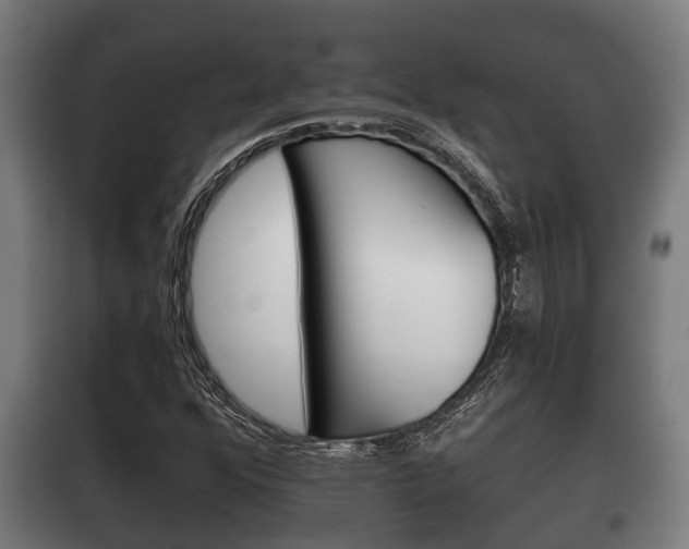 X0000100411352200806060916
