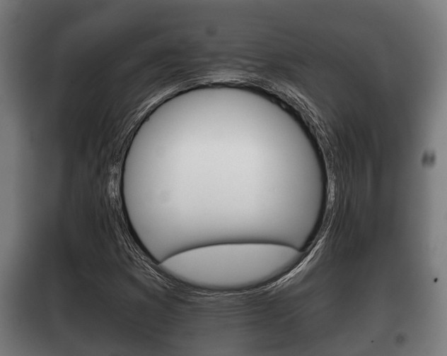 X0000100411353200806060916