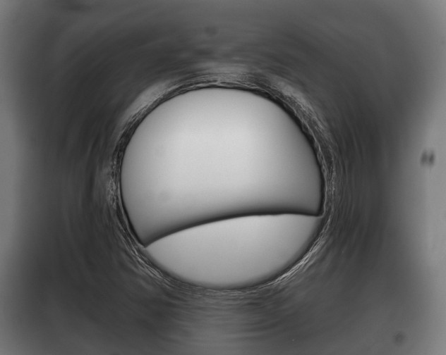 X0000100411354200806060916