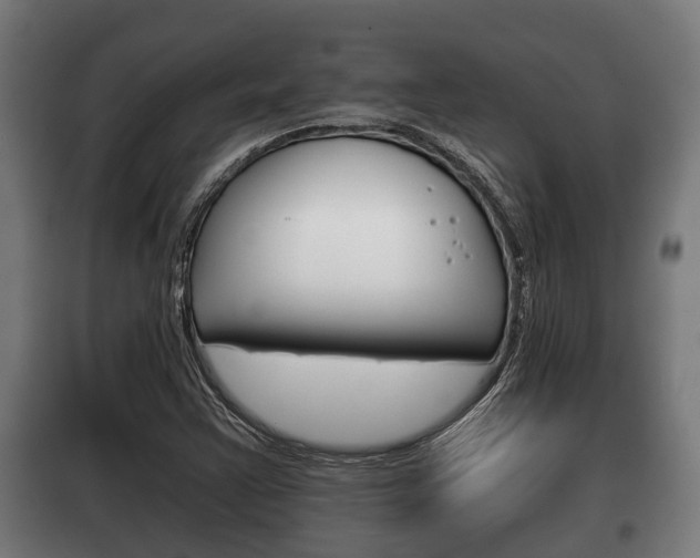 X0000100411355200806060916