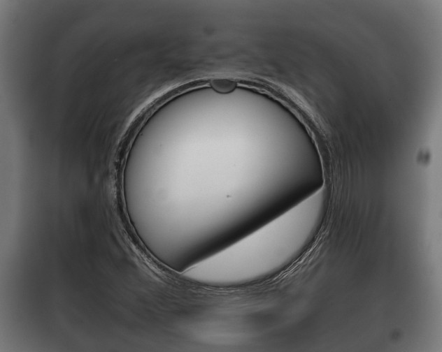X0000100411356200806060916
