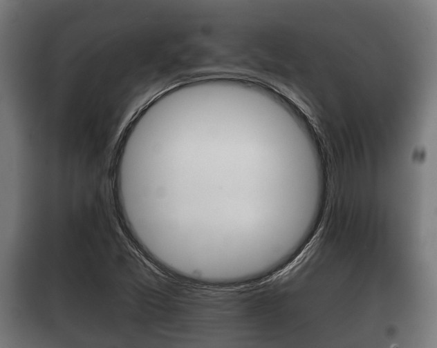 X0000100411357200806060916
