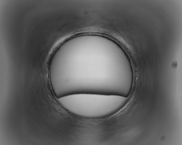 X0000100411358200806060916