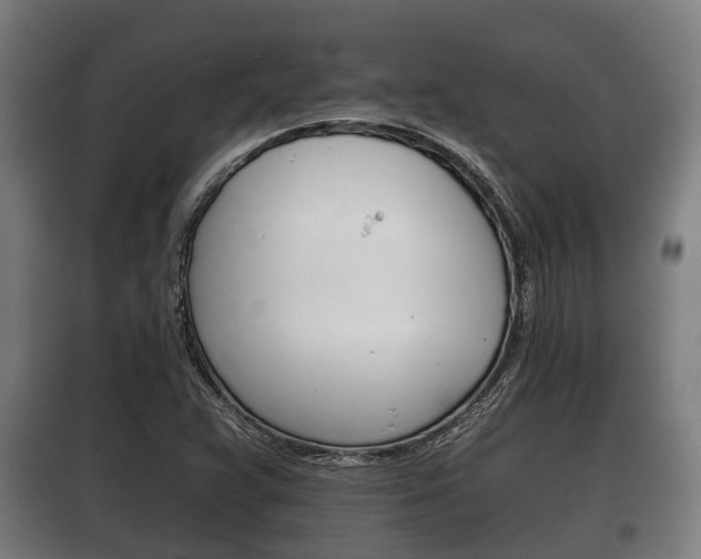 X0000100411359200806060916