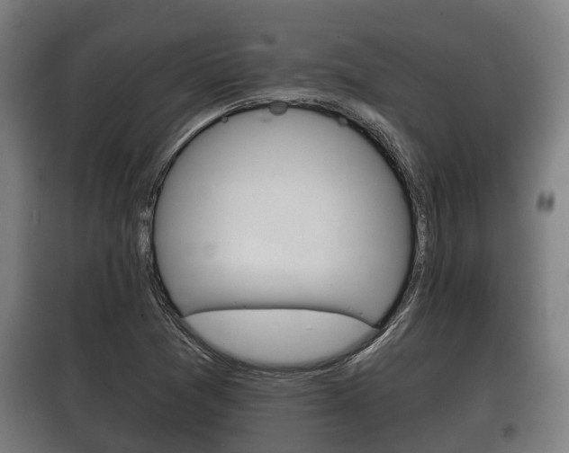X0000100411361200806060916