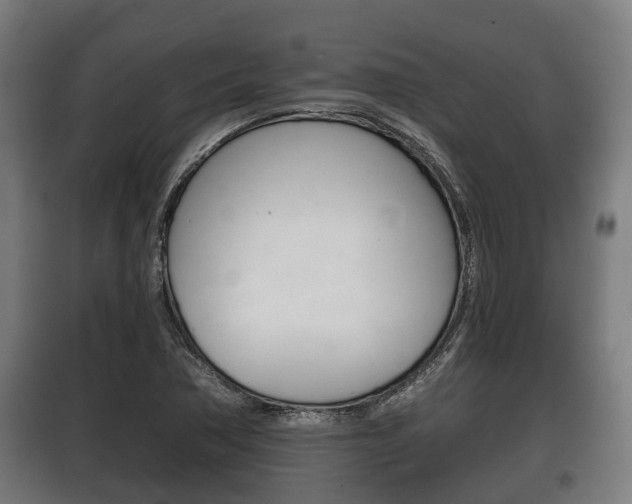 X0000100411362200806060916