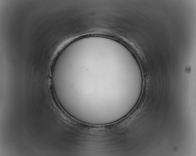 X0000100411363200806060916
