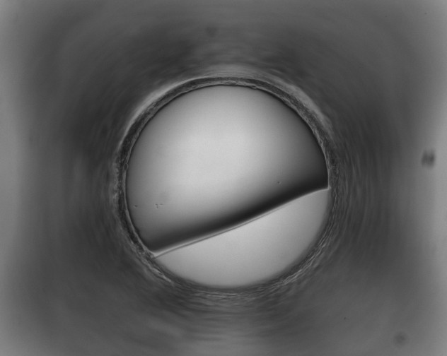 X0000100411364200806060916