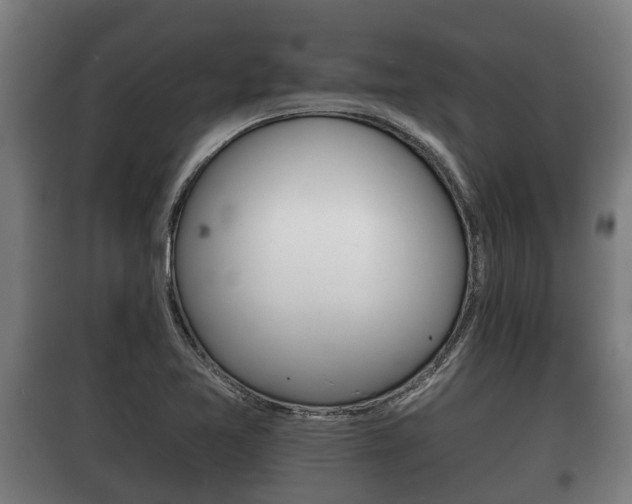 X0000100411365200806060916