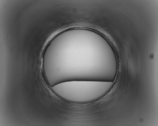 X0000100411366200806060916