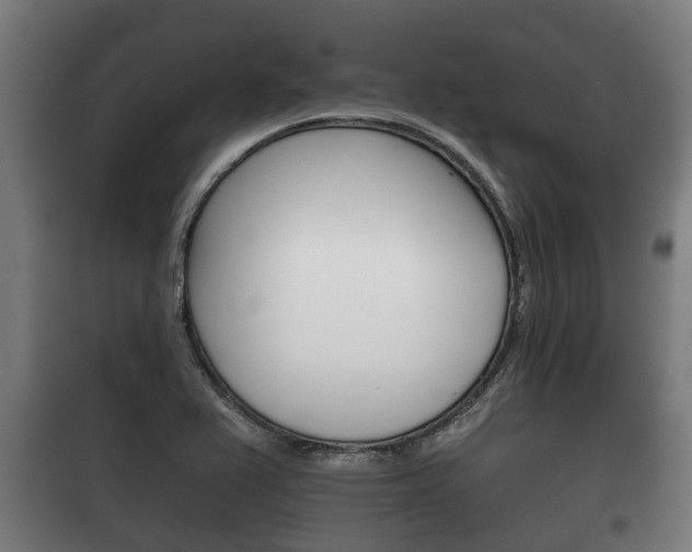 X0000100411367200806060916