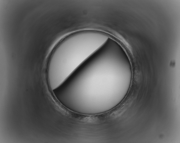 X0000100411368200806060916