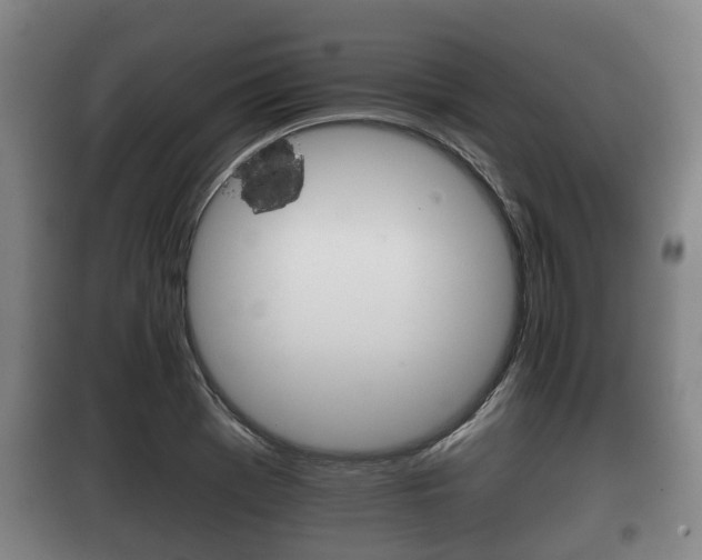 X0000100411369200806060916