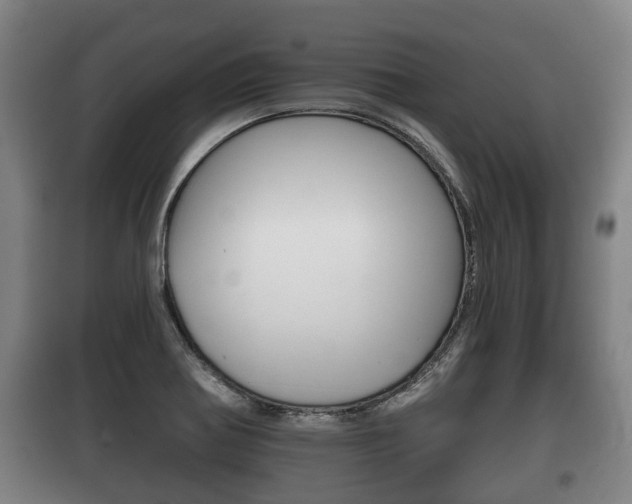 X0000100411370200806060915