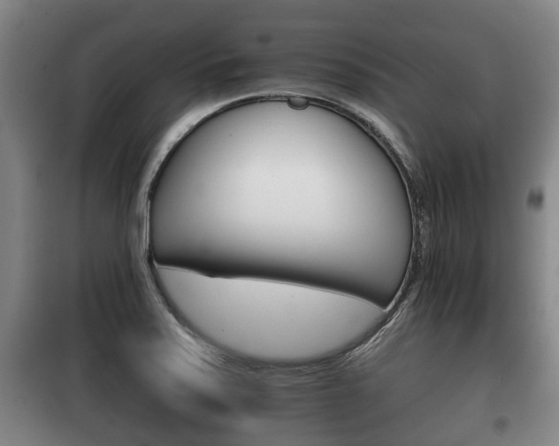 X0000100411371200806060915