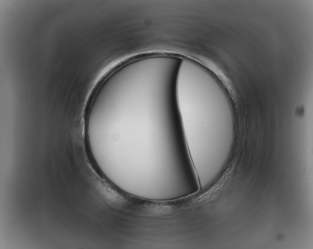 X0000100411372200806060915