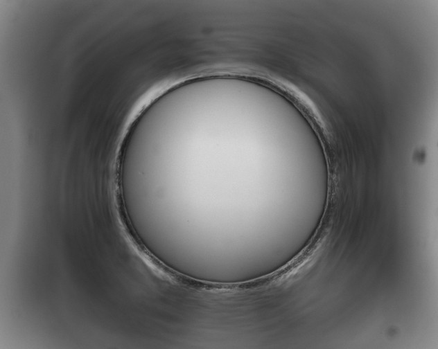 X0000100411373200806060915