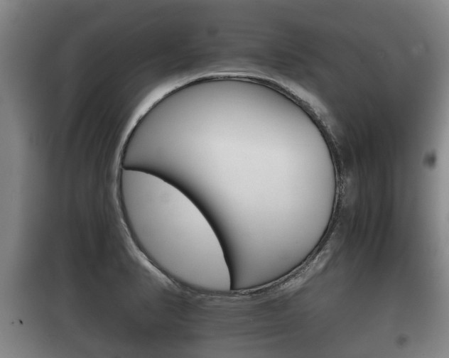 X0000100411374200806060915