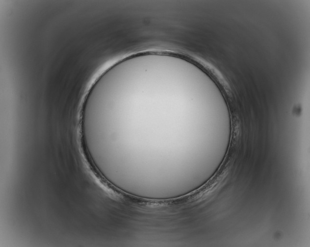 X0000100411375200806060915