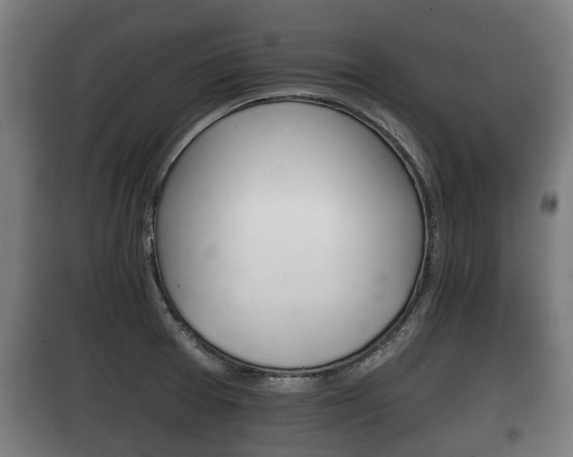 X0000100411377200806060915