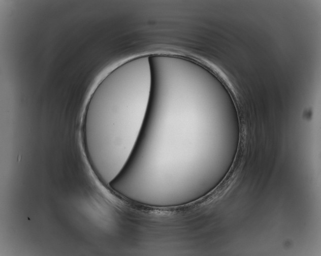 X0000100411379200806060915