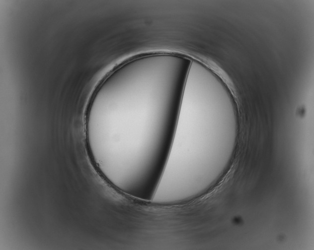 X0000100411380200806060915