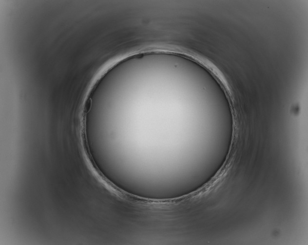 X0000100411381200806060915