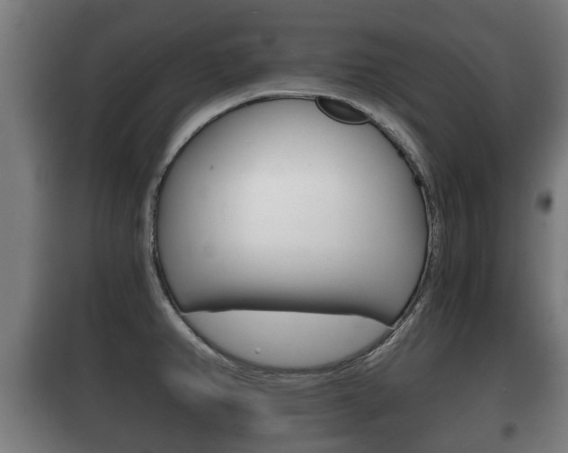 X0000100411382200806060915