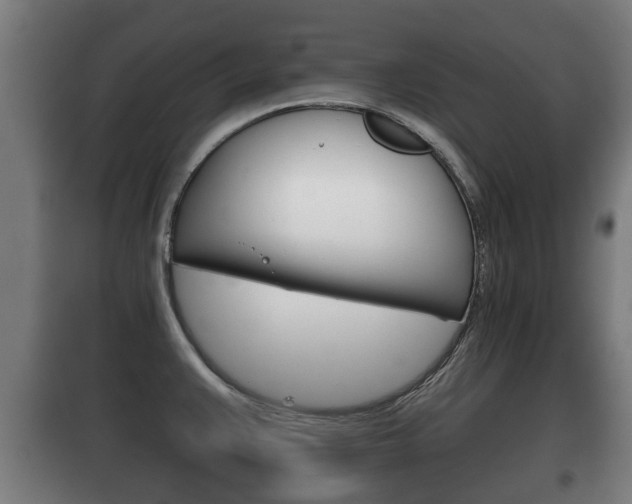 X0000100411383200806060915