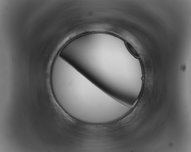 X0000100411384200806060915
