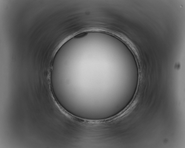 X0000100411385200806060915