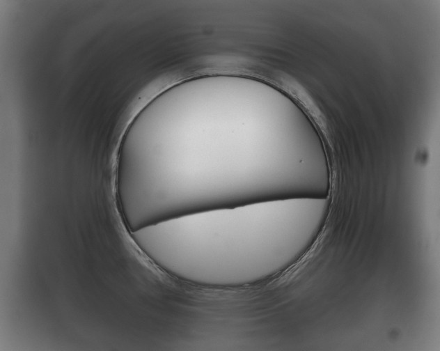 X0000100411386200806060915