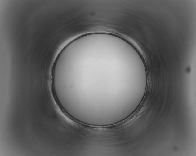X0000100411387200806060915