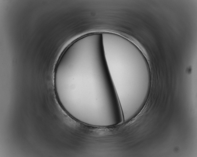 X0000100411388200806060915