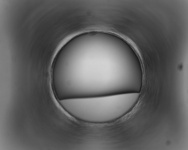 X0000100411389200806060915