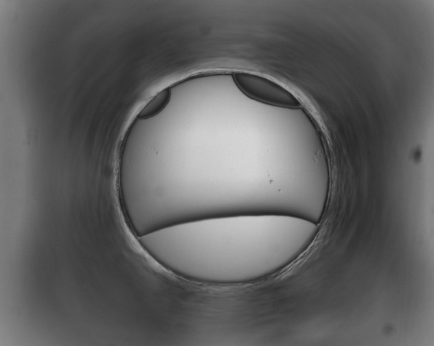 X0000100411390200806060915