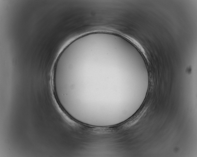 X0000100411391200806060915