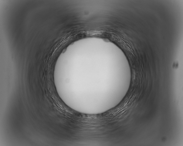 X0000100411393200806060915