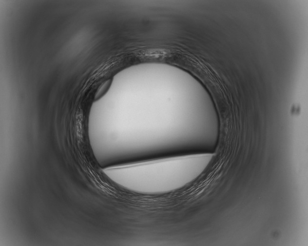 X0000100411394200806060915
