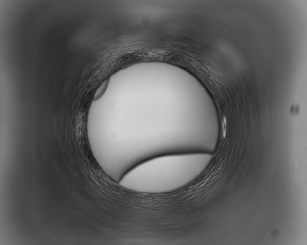 X0000100411395200806060915