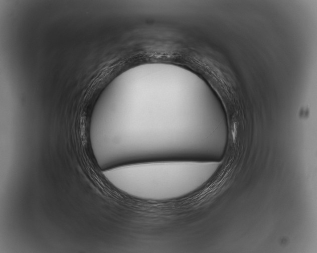 X0000100411396200806060915