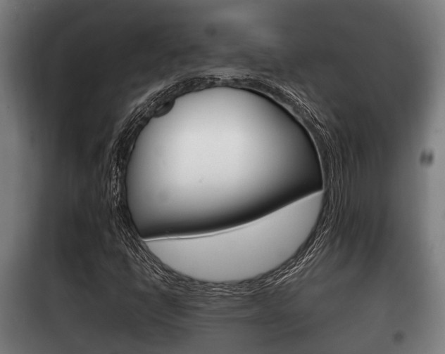 X0000100411398200806060915