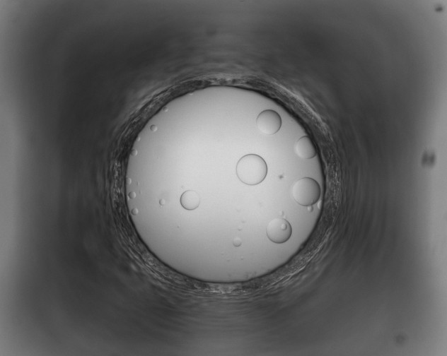 X0000100411399200806060915